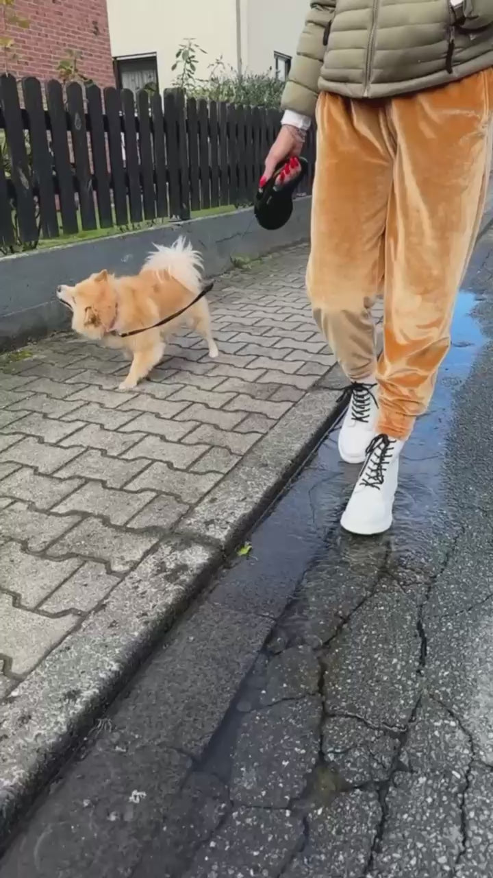 Space Walkers im Alltag & Gassi gehen